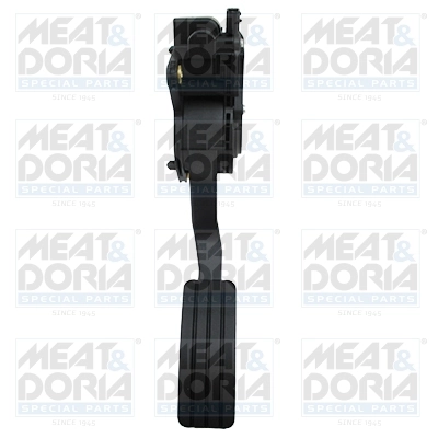 Accelerator Pedal Unit